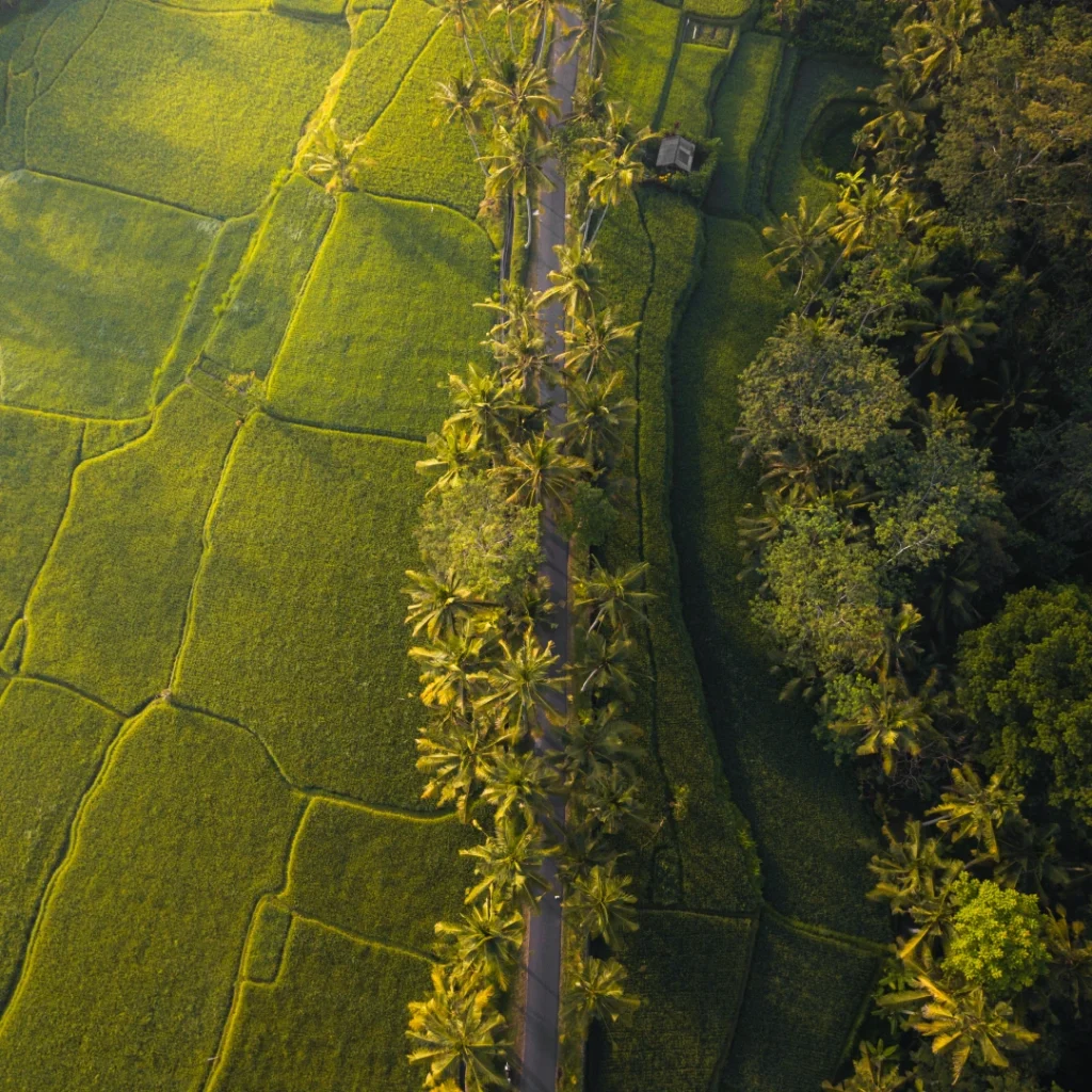 Land due diligence in Bali