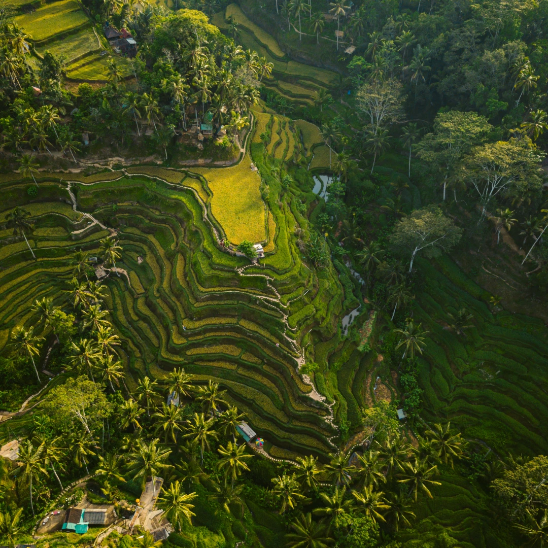 Land due diligence Bali