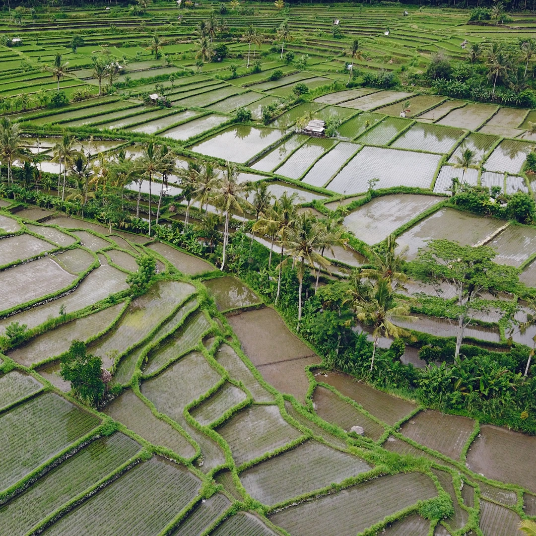 Land due diligence in Indonesia
